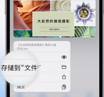 敖汉apple维修中心分享iPhone文件应用中存储和找到下载文件