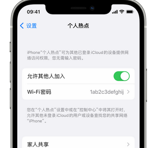 敖汉apple服务站点分享iPhone上个人热点丢失了怎么办 