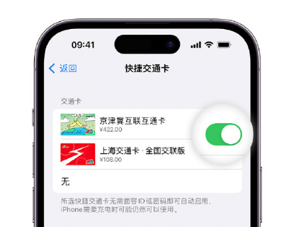 敖汉apple维修点分享iPhone上更换Apple Pay快捷交通卡手绘卡面 