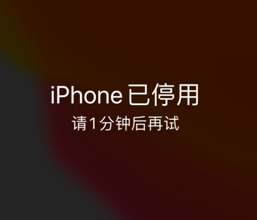 敖汉苹果手机维修分享:iPhone 显示“不可用”或“已停用”怎么办？还能保留数据吗？ 