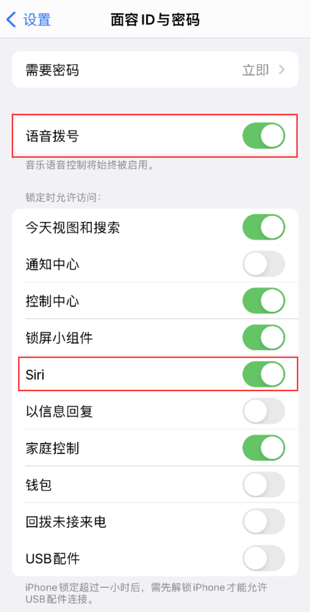 敖汉苹果维修网点分享不解锁 iPhone 的情况下通过 Siri 拨打电话的方法 