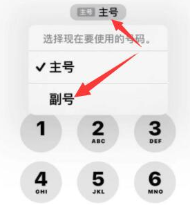 敖汉苹果14维修店分享iPhone 14 Pro Max使用副卡打电话的方法 