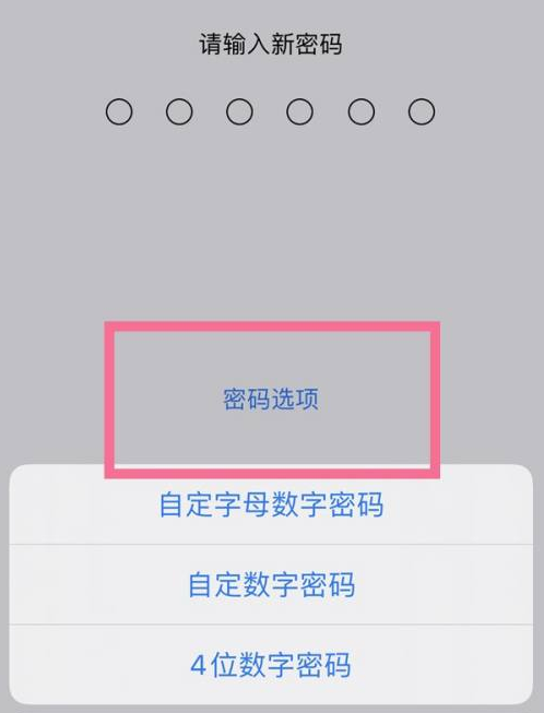 敖汉苹果14维修分享iPhone 14plus设置密码的方法 