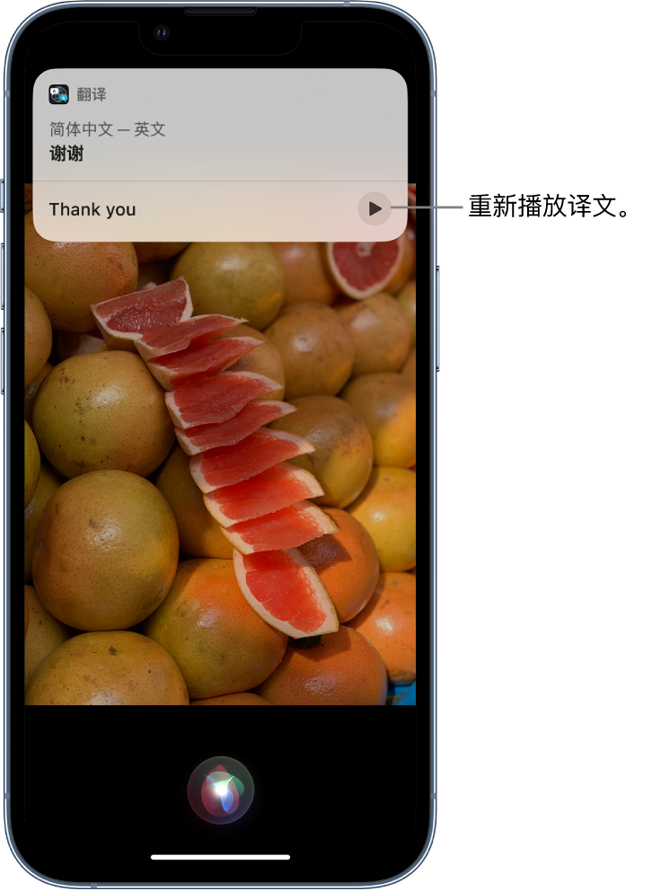 敖汉苹果14维修分享 iPhone 14 机型中使用 Siri：了解 Siri 能帮你做什么 