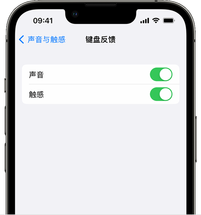 敖汉苹果14维修分享iPhone 14 系列机型如何开启键盘声音或触感反馈 