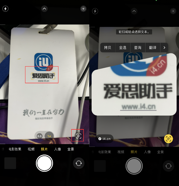 敖汉苹果手机维修分享升级iOS 16后如何通过相机翻译文本 