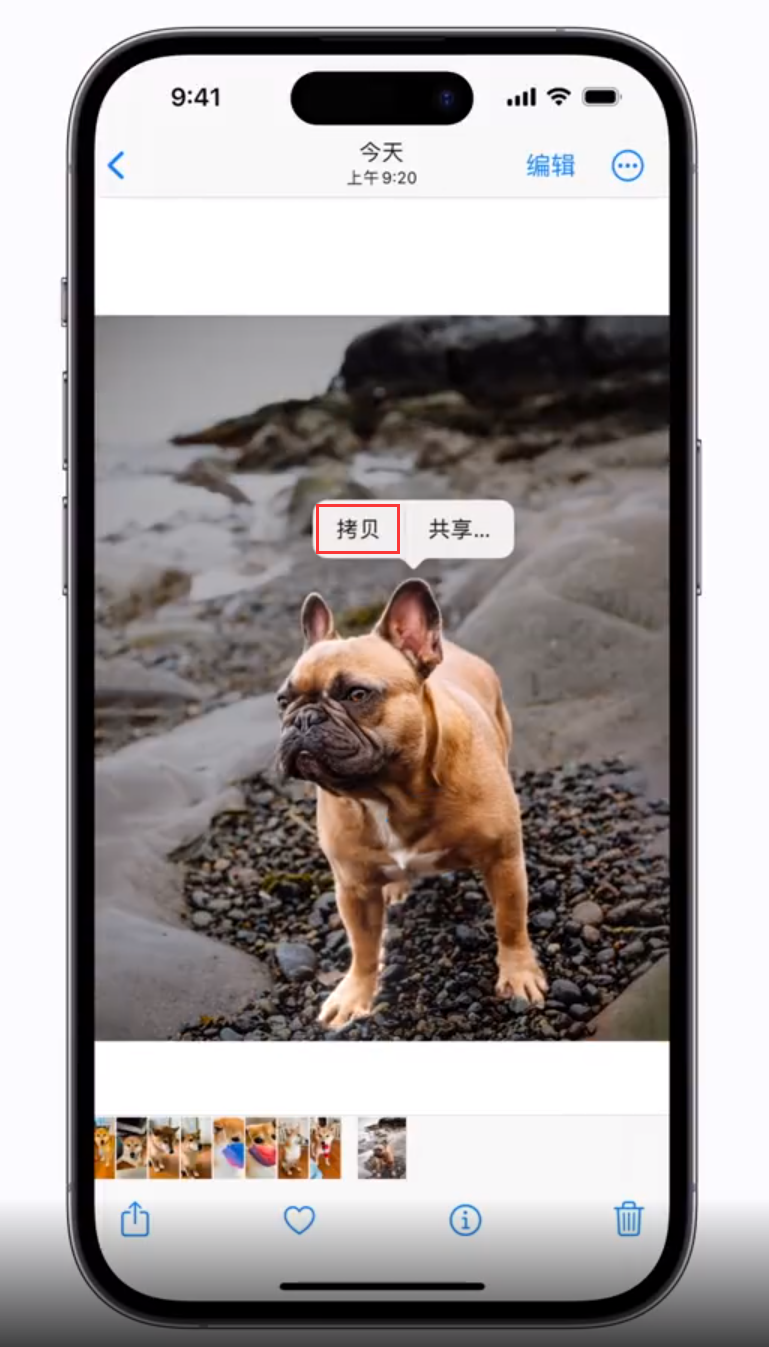 敖汉苹果手机维修分享 iOS 16 自带一键抠图功能 