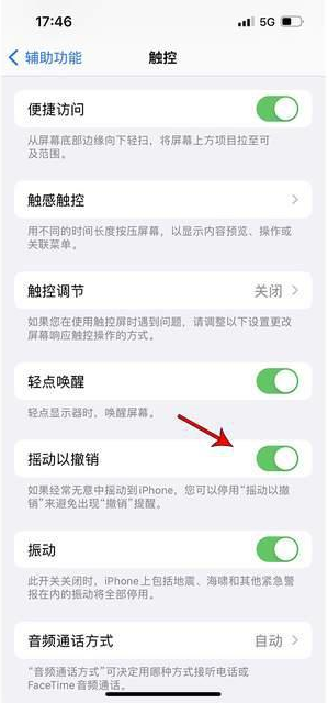 敖汉苹果手机维修分享iPhone手机如何设置摇一摇删除文字 