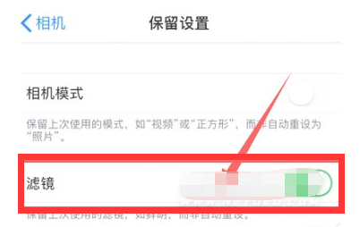 敖汉苹果13维修分享iPhone13拍照有绿点是怎么回事 